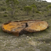 Rupture